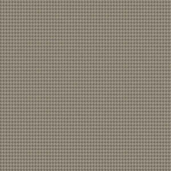 Обои Carey Lind Menswear MW9246